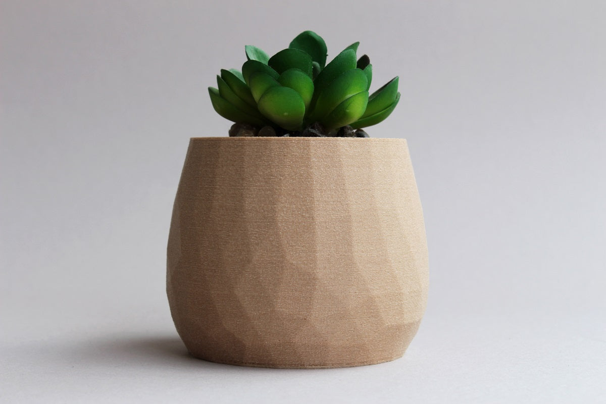Textured Succulent Planter with Wood Finish