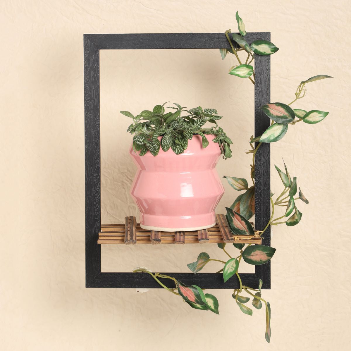 Classic Mini Cylindrical Shaped Ceramic Planter