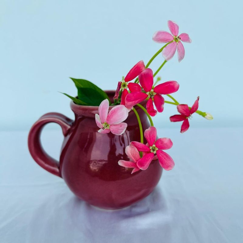 Mini Milk Jug Pink