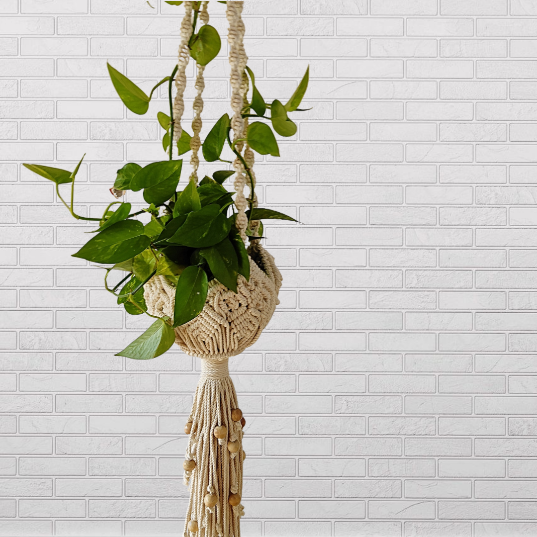 Off-White Intricate Beauty Plant Hanger