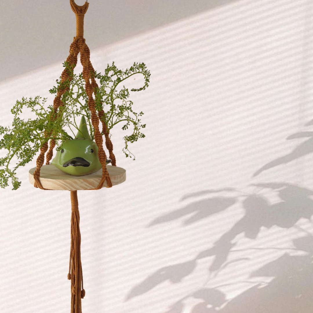 Brown Macrame Shelf Planter