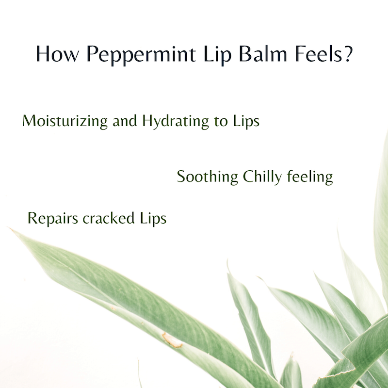 Natural Peppermint Lip Balm