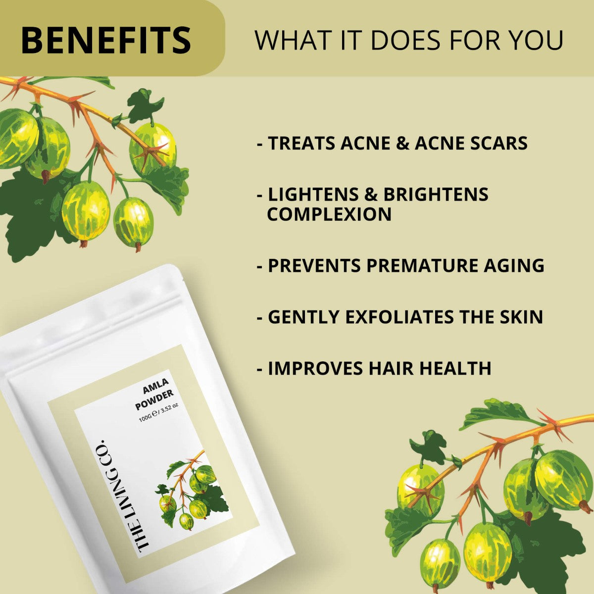 Amla Powder
