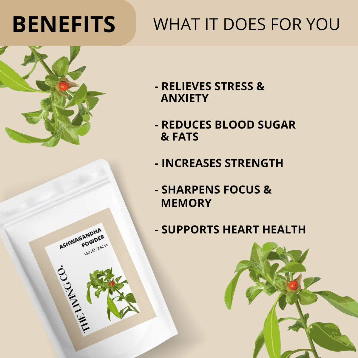 Ashwagandha Powder