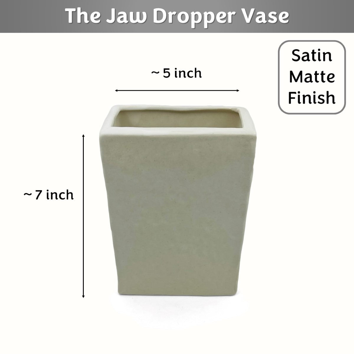 The Jaw Dropper Face Vase (White, Satin Matte Finish)