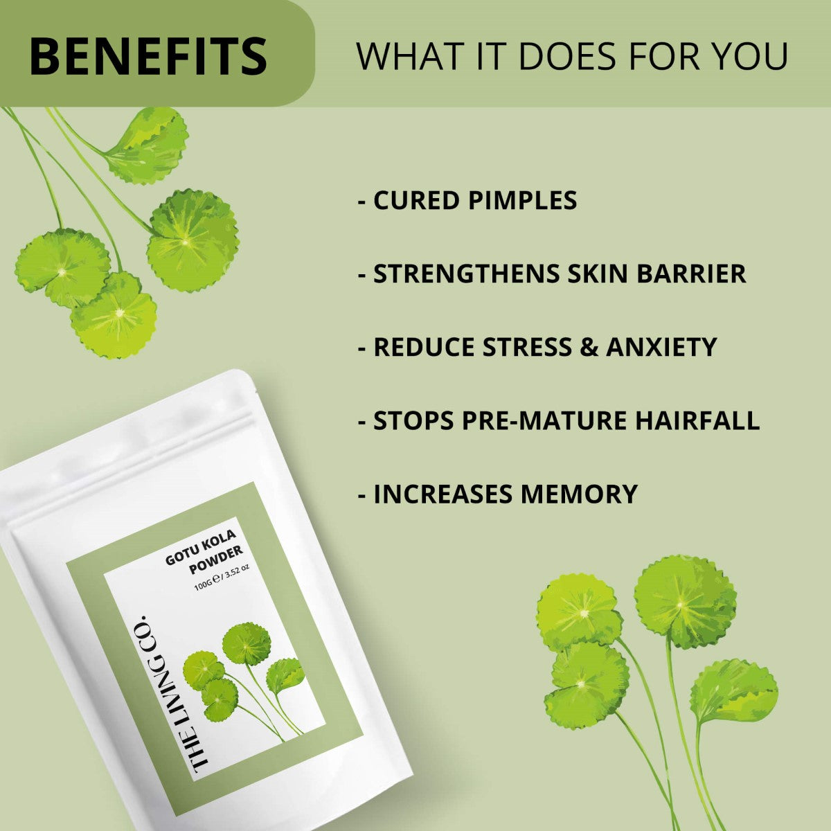 Gotu Kola Powder