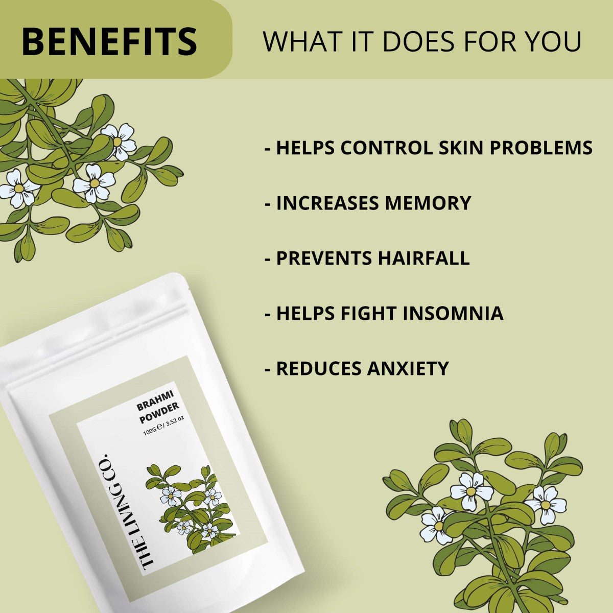 Brahmi Powder