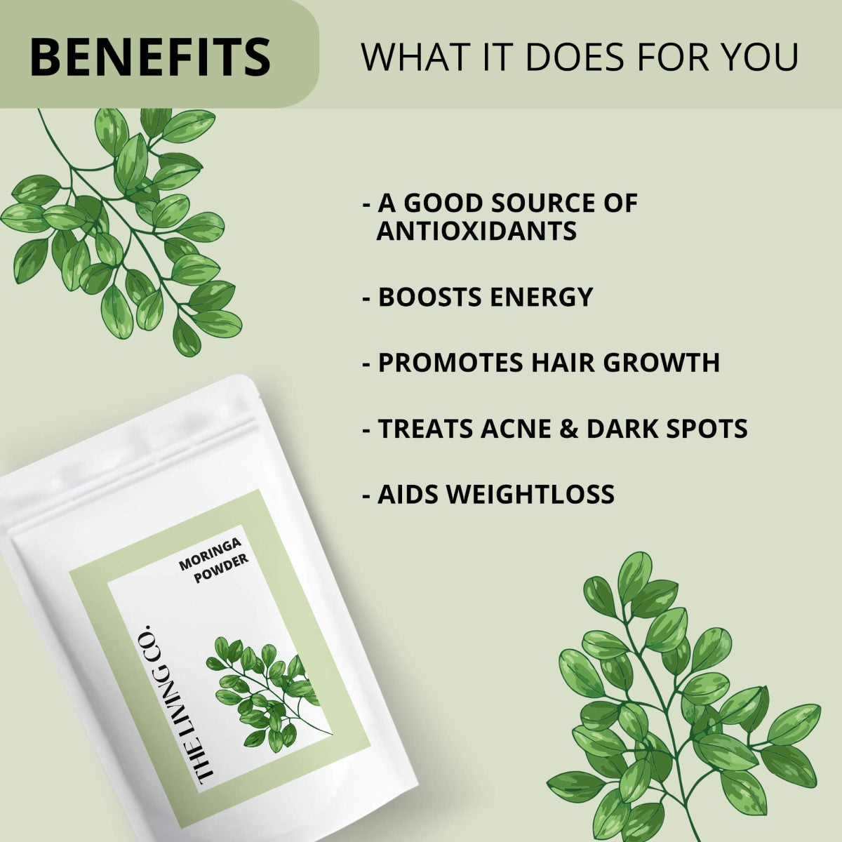 Moringa Powder