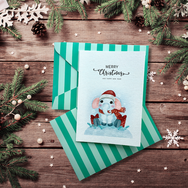 Green Christmas Assorted Greeting Cards (Set of 3)