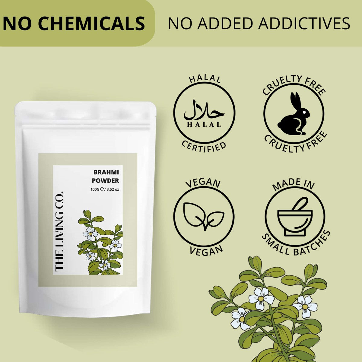 Brahmi Powder