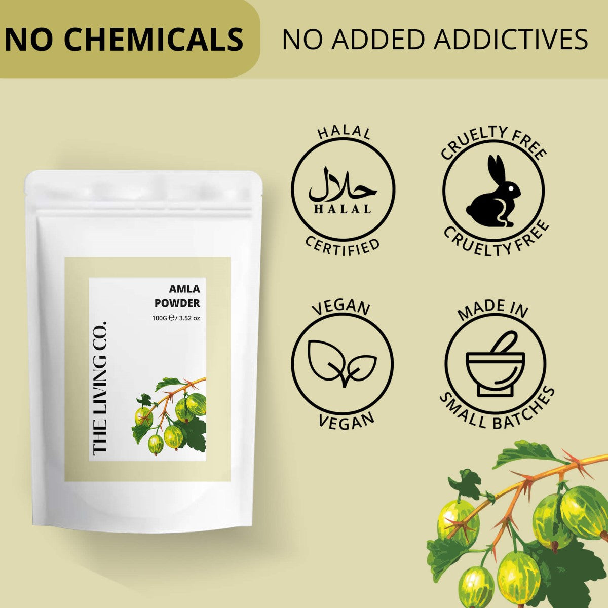 Amla Powder