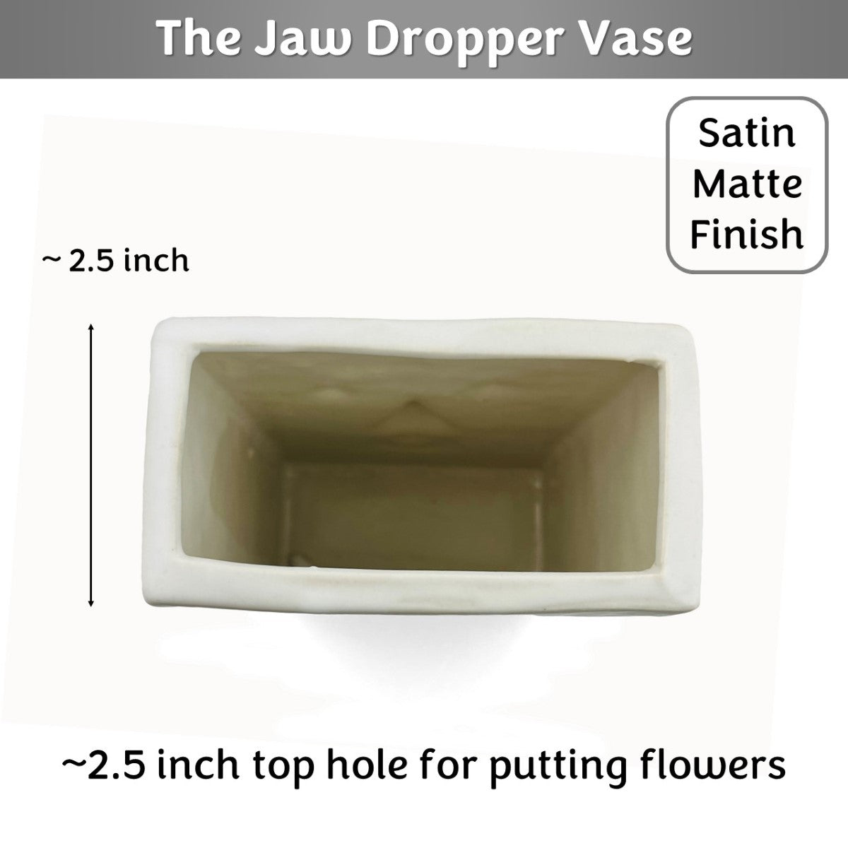 The Jaw Dropper Face Vase (White, Satin Matte Finish)