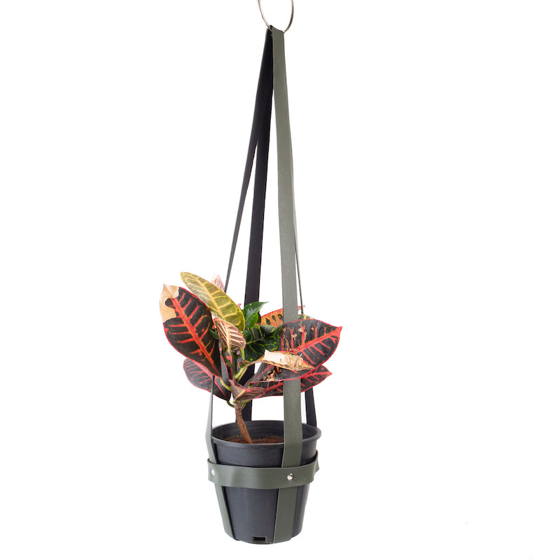 Green Rexine Plant Holders (Set of 2)