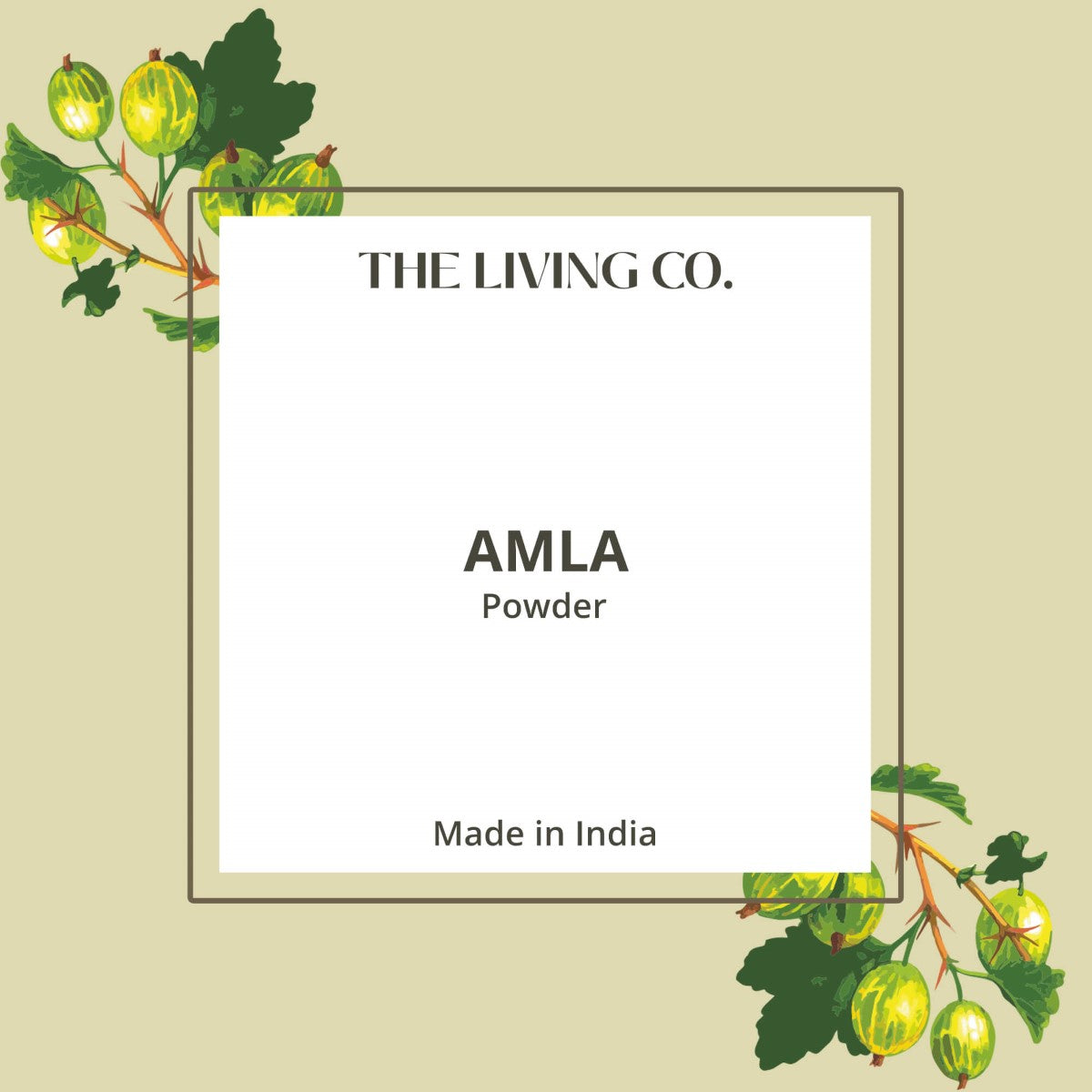Amla Powder