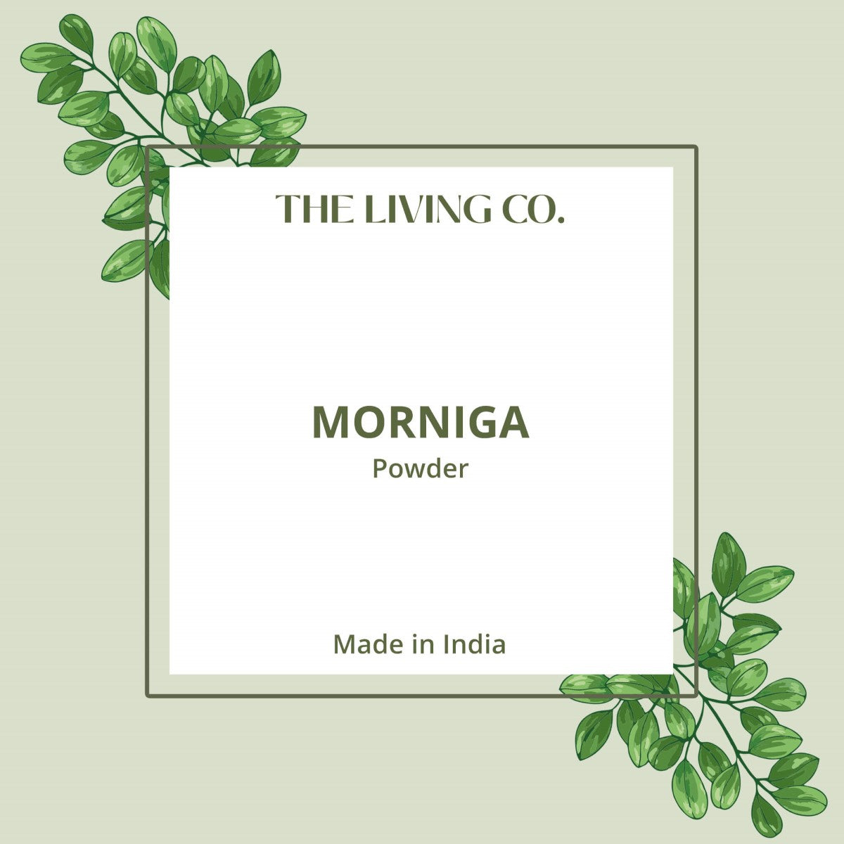 Moringa Powder