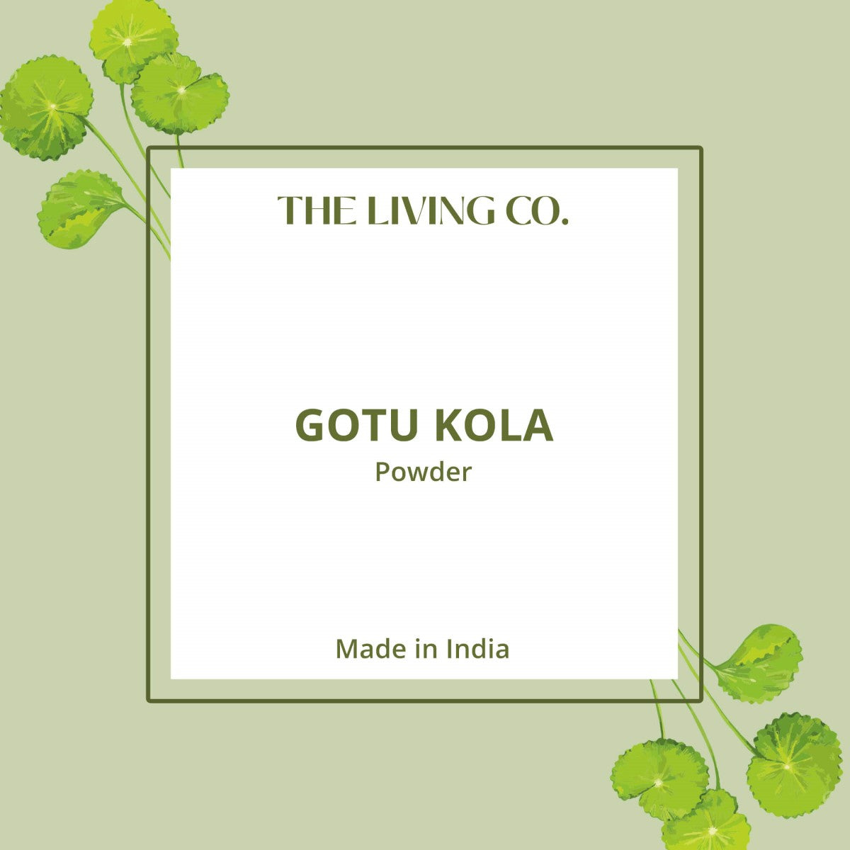 Gotu Kola Powder