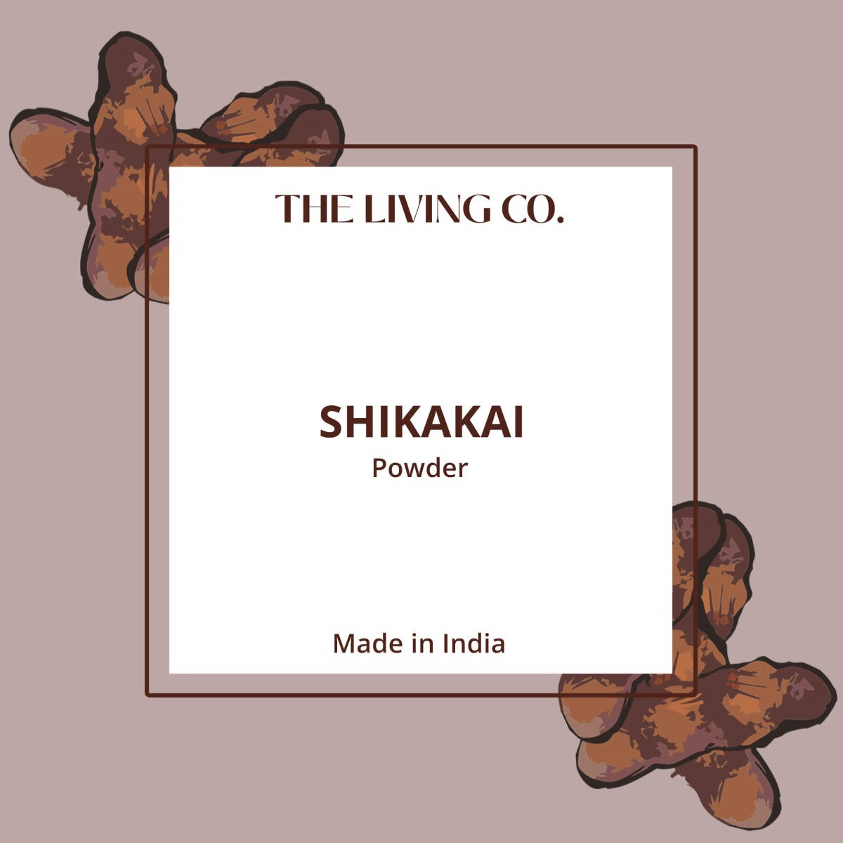 Shikakai Powder