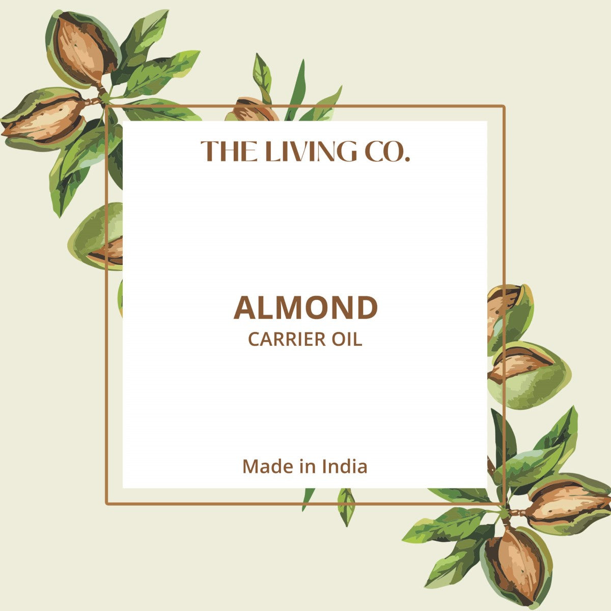 Almond Carrier Oil