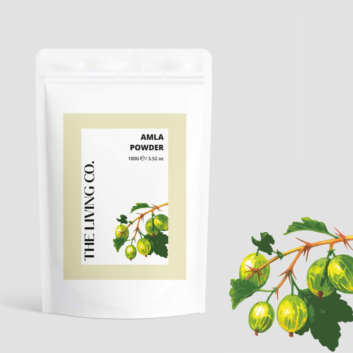 Amla Powder