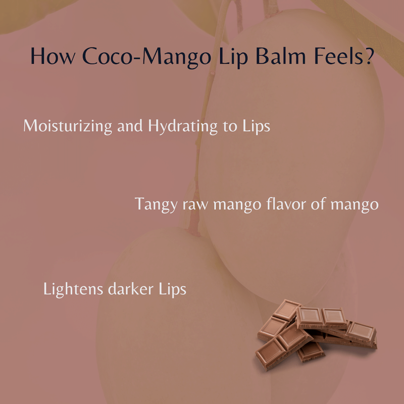 All Natural Coco Mango Lip Balm