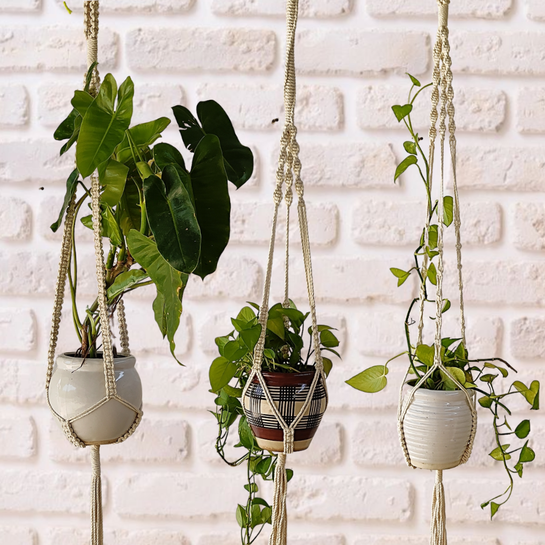 Off-White Macrame Plant Hangers (Set of 3)