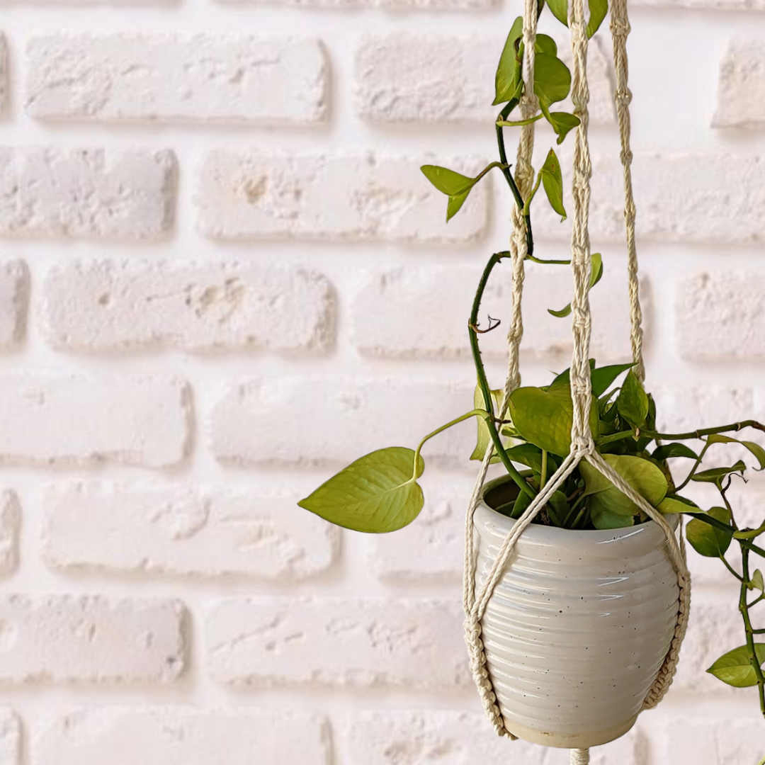 Off-White Macrame Plant Hangers (Set of 3)
