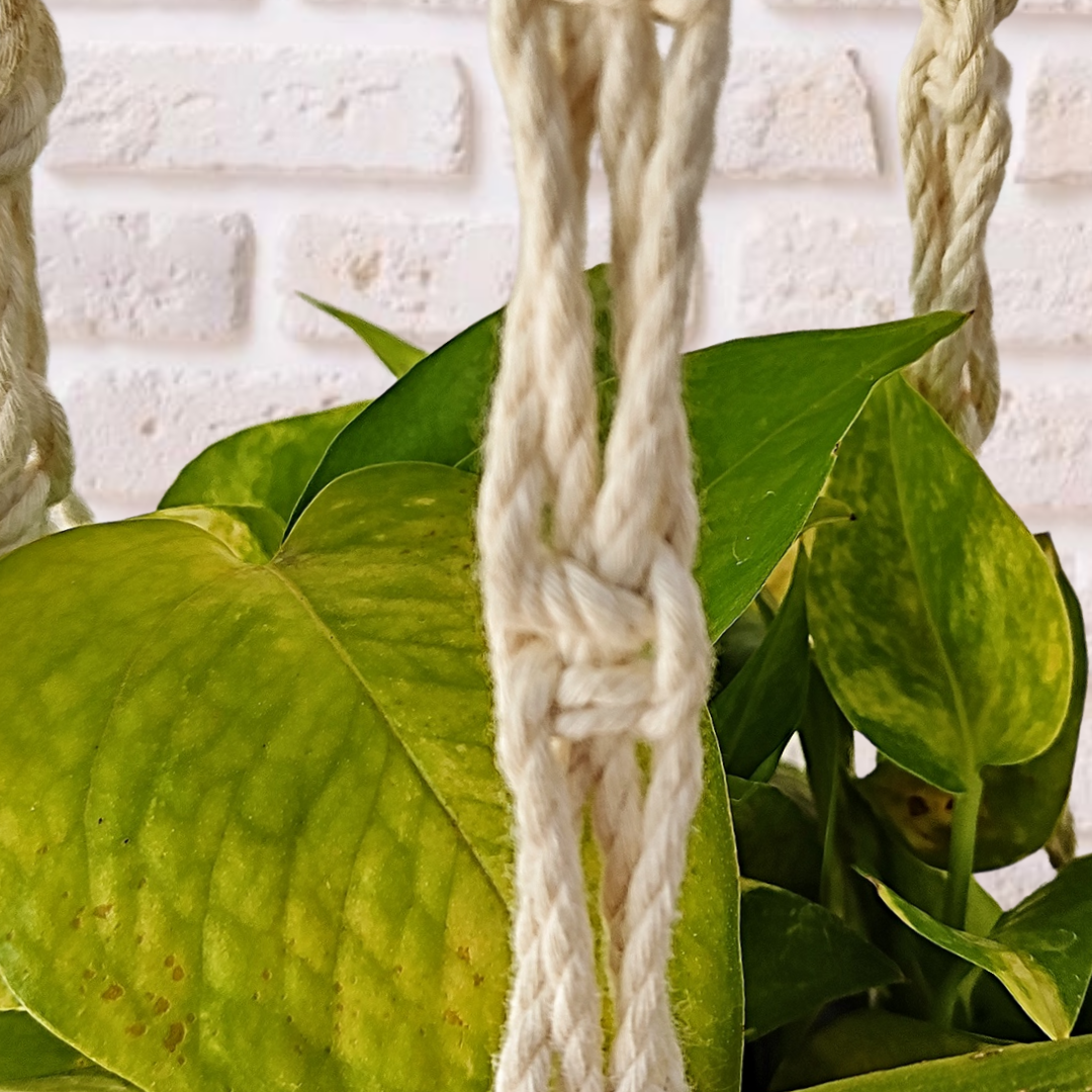 Off-White Macrame Plant Hangers (Set of 3)