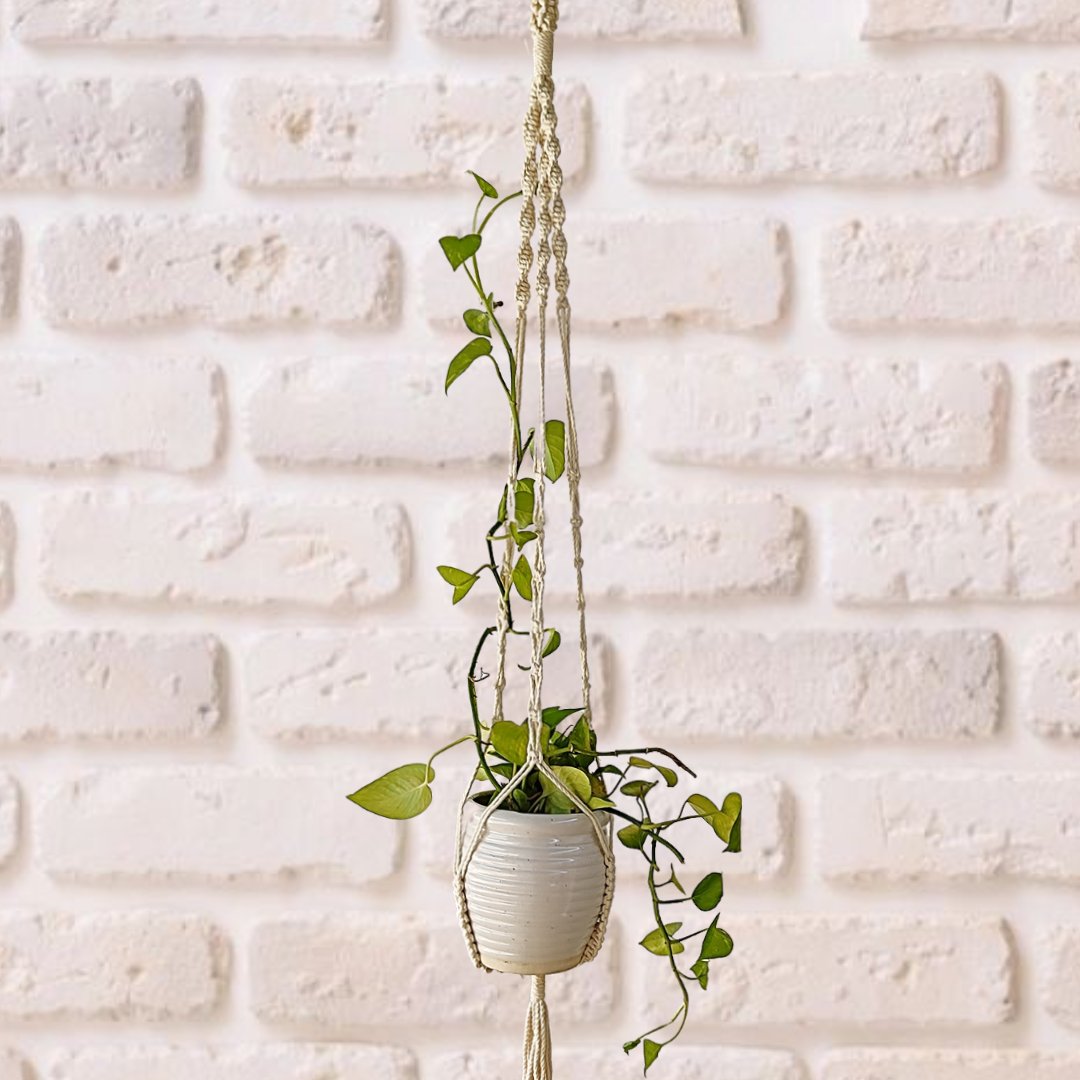 Off-White Macrame Plant Hangers (Set of 3)