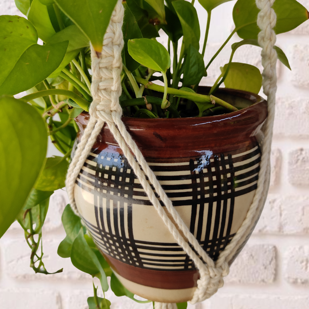Off-White Macrame Plant Hangers (Set of 3)