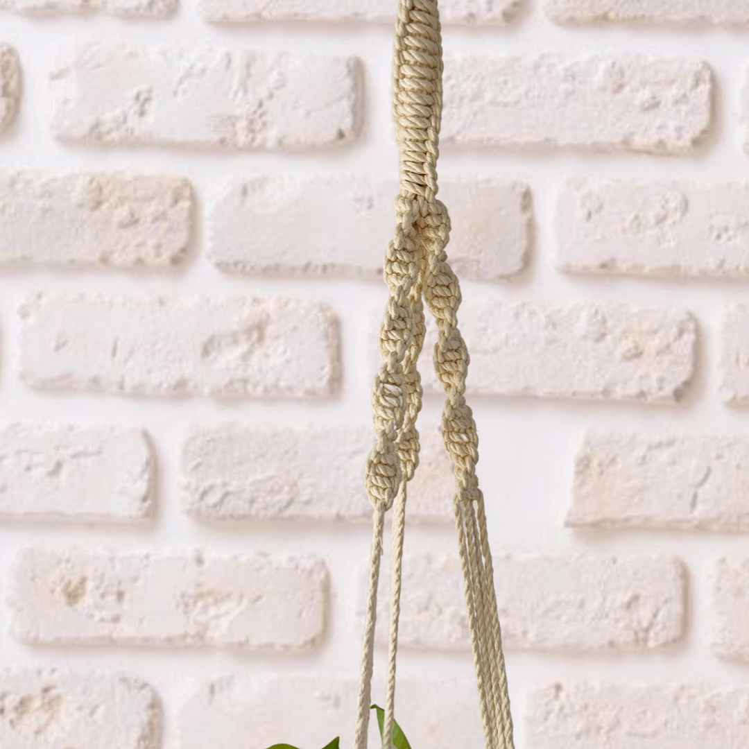 Off-White Macrame Plant Hangers (Set of 3)