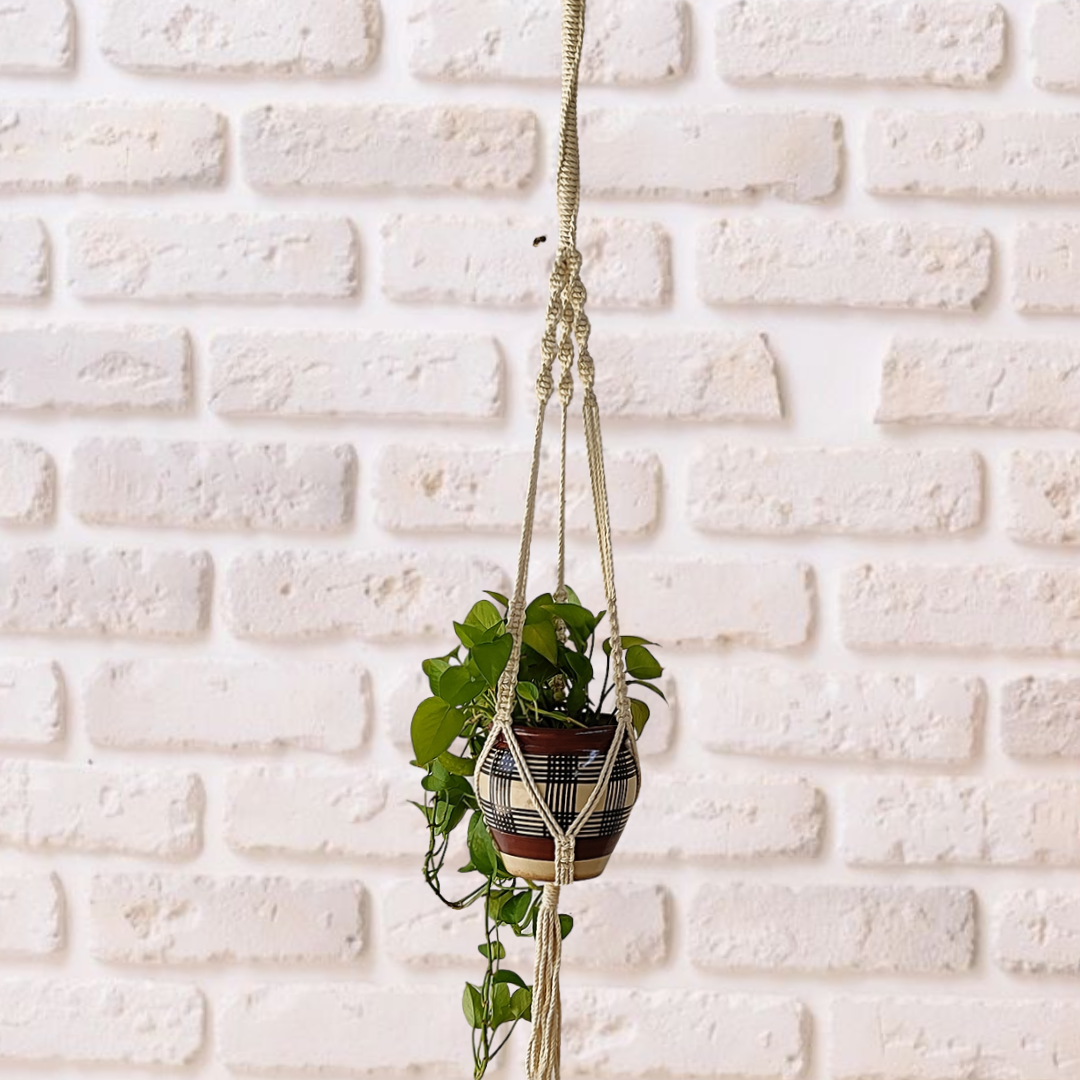 Off-White Macrame Plant Hangers (Set of 3)