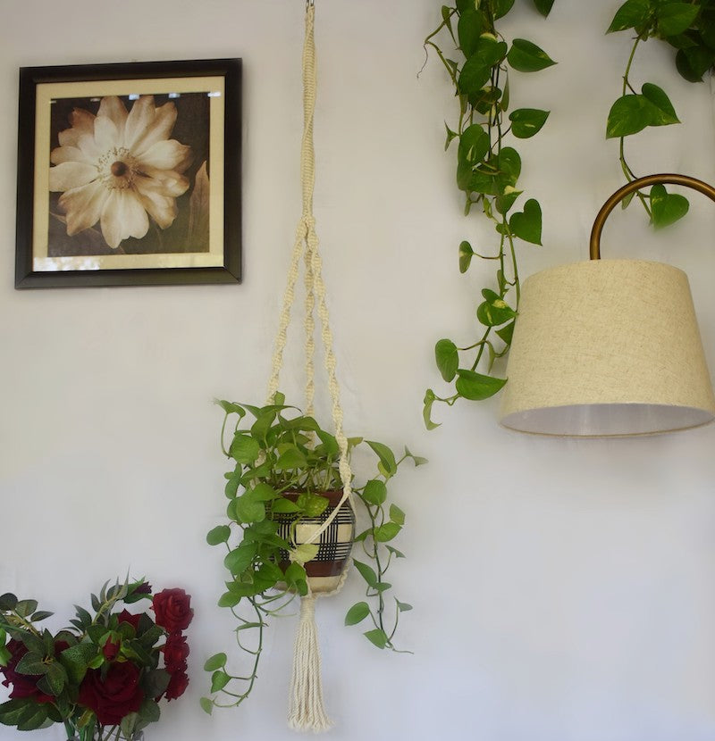 Hand-knotted Macrame Plant Hanger