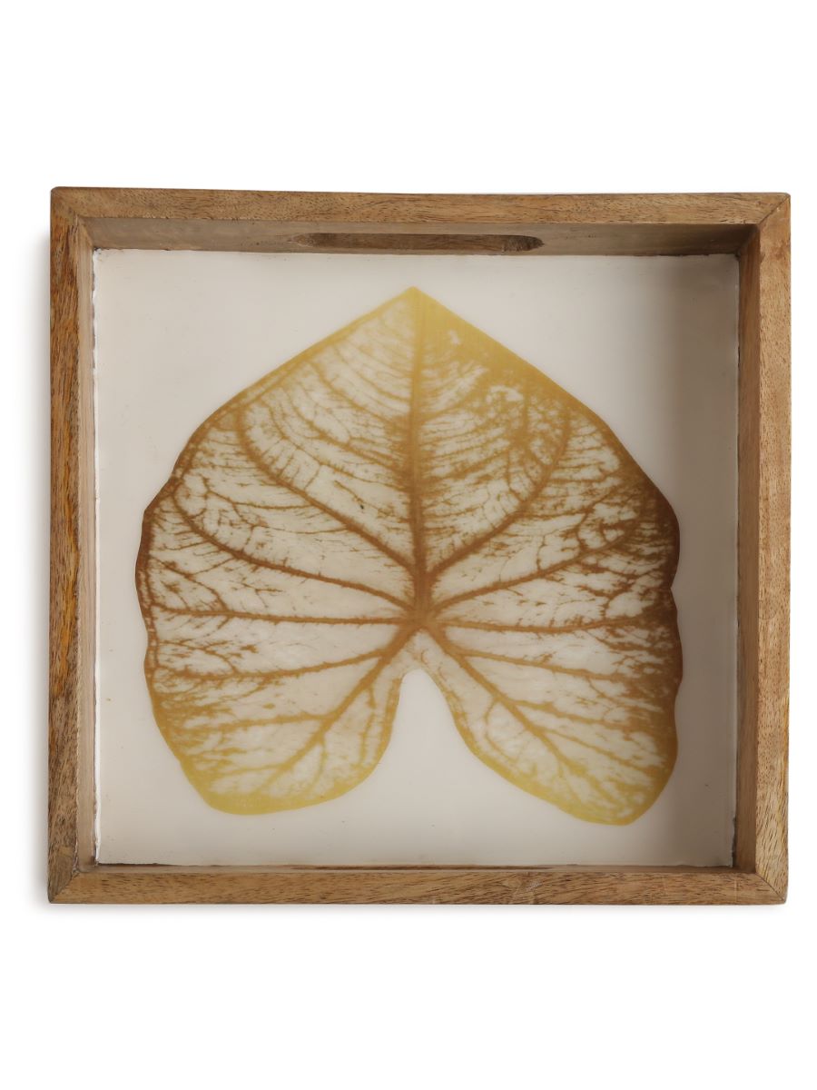 Mango Wooden Tray In Enamel Finish With Gold Leaf Design