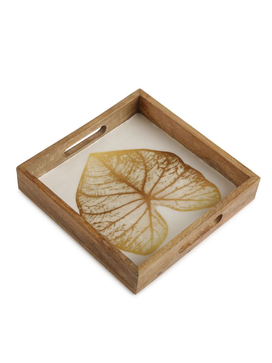 Mango Wooden Tray In Enamel Finish With Gold Leaf Design