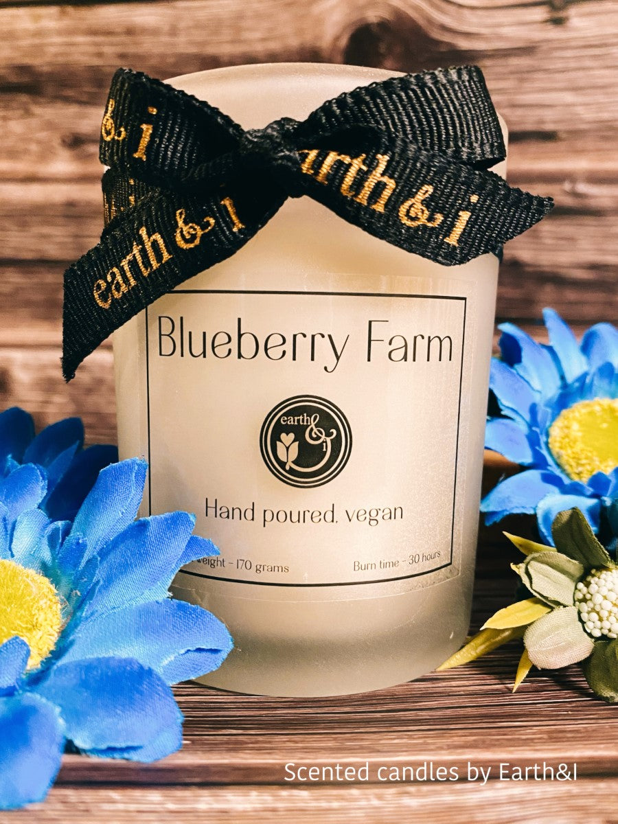 Blueberry Farm Scented Hand Poured Vegan Candle