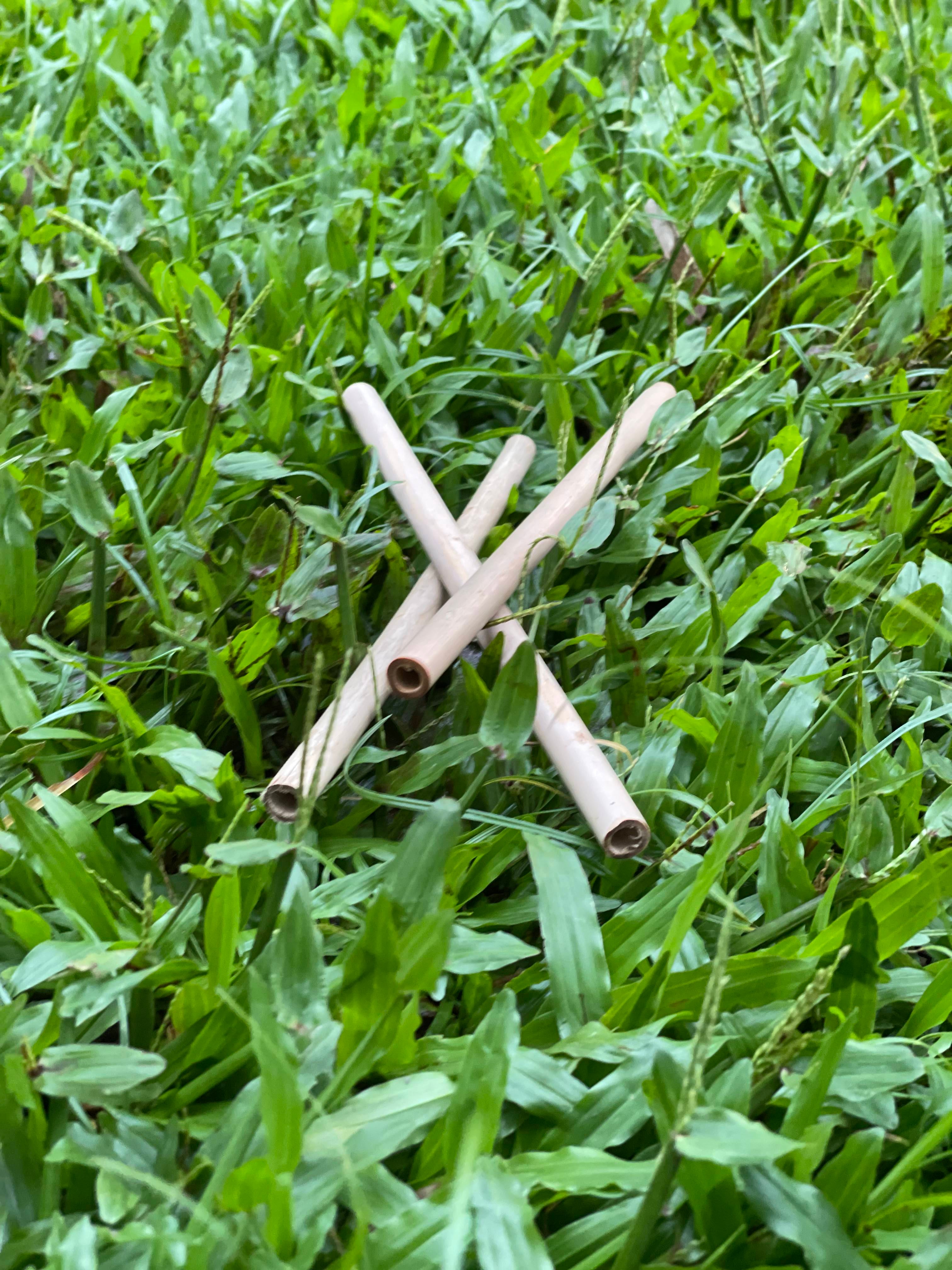 Organic Reusable Bamboo Straws (Pack of 8)