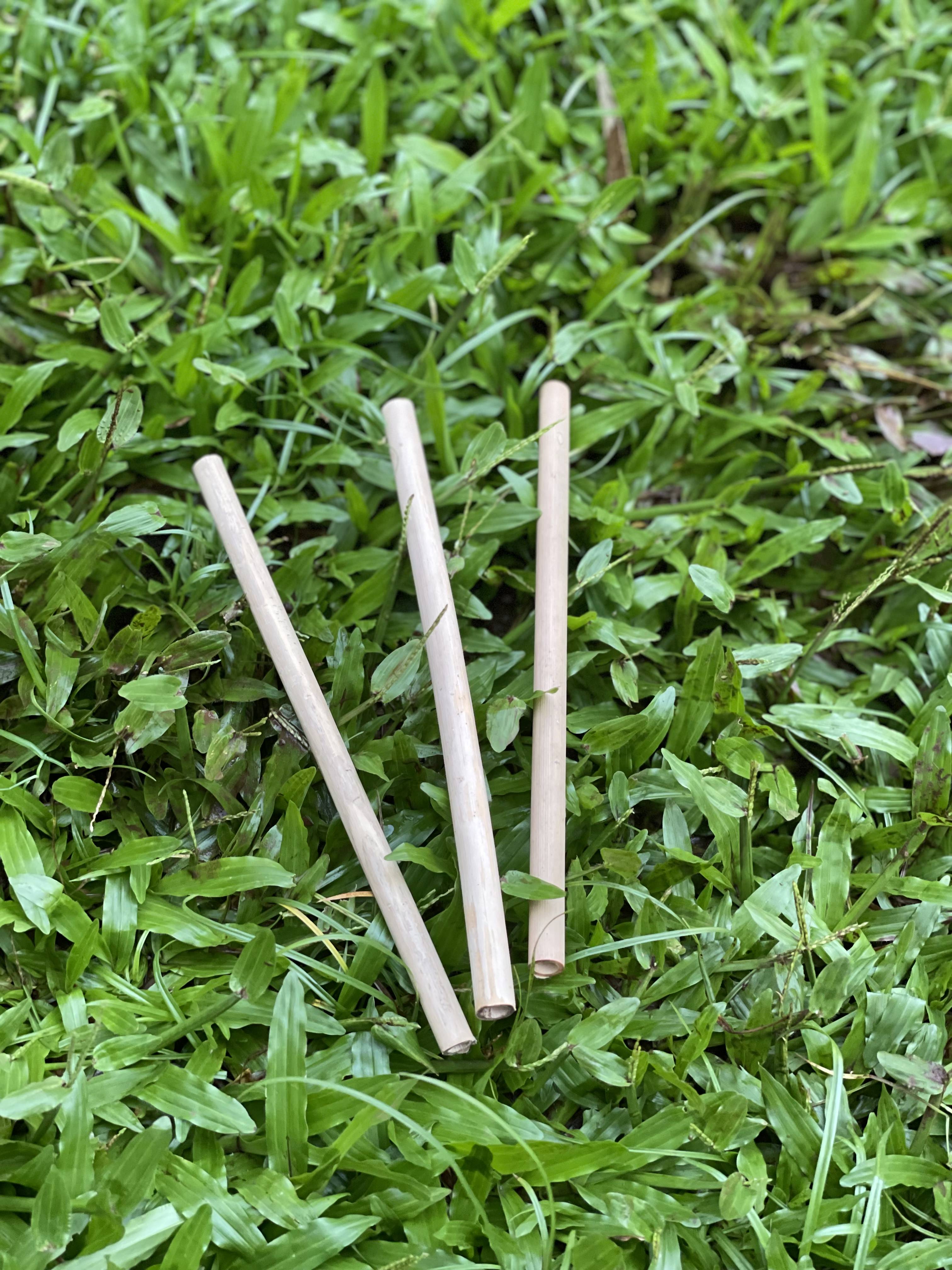 Organic Reusable Bamboo Straws (Pack of 8)