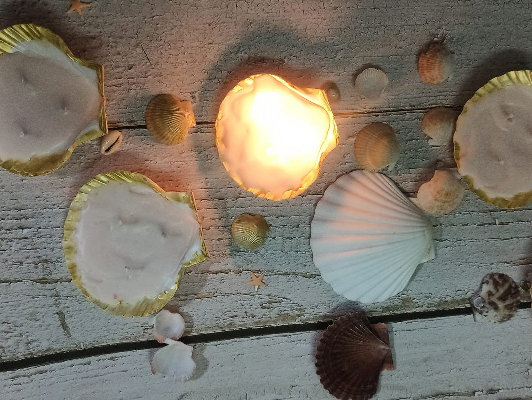 Shell Soy Wax Fragrant Candles