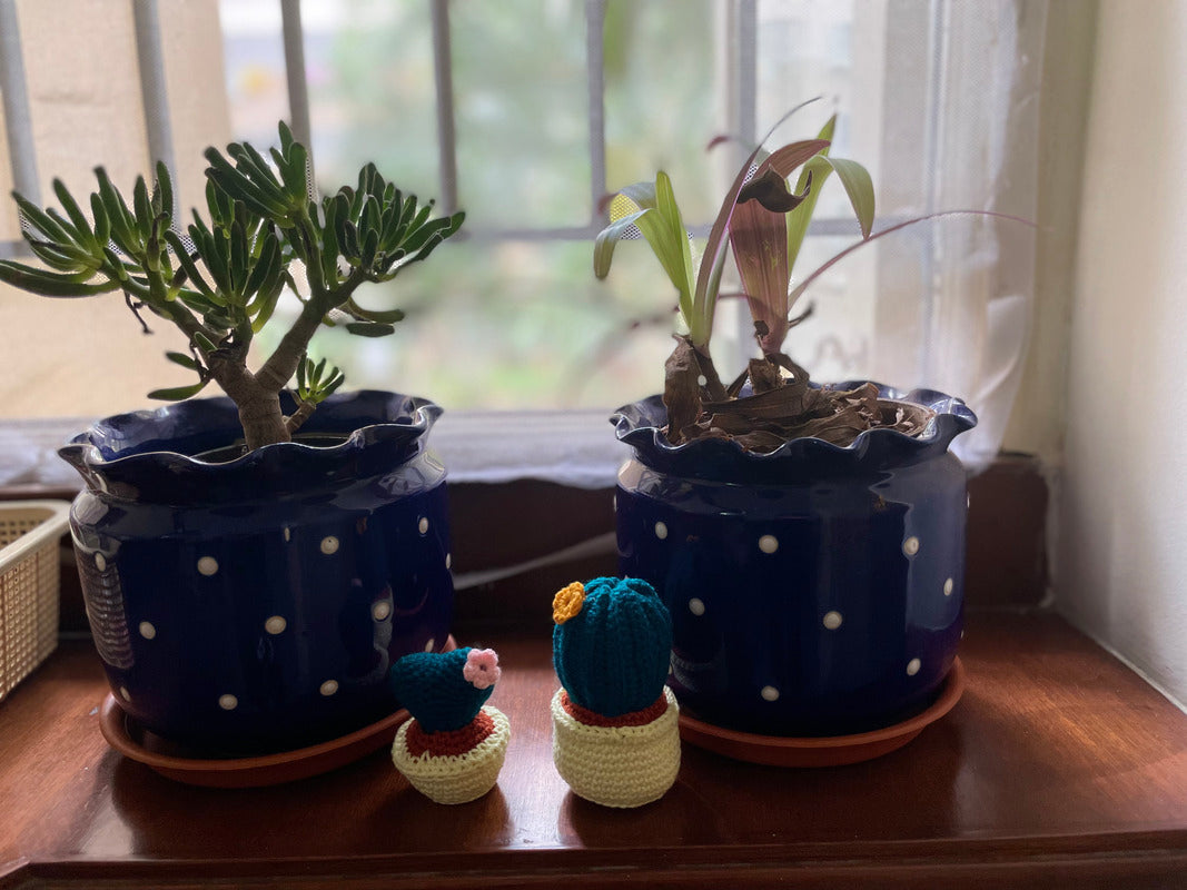 Green Cotton Handmade Dry Buddies