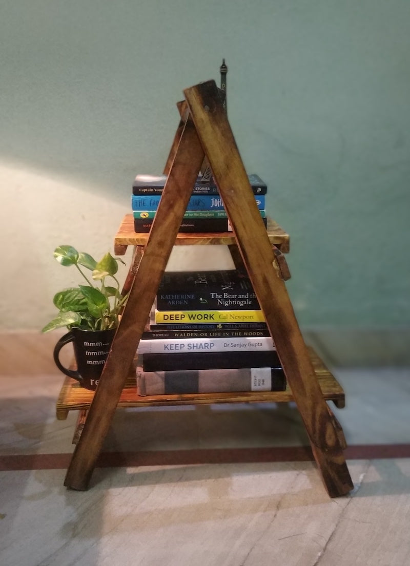 Two Tier Ladder Book Shelf | Planter Shelf