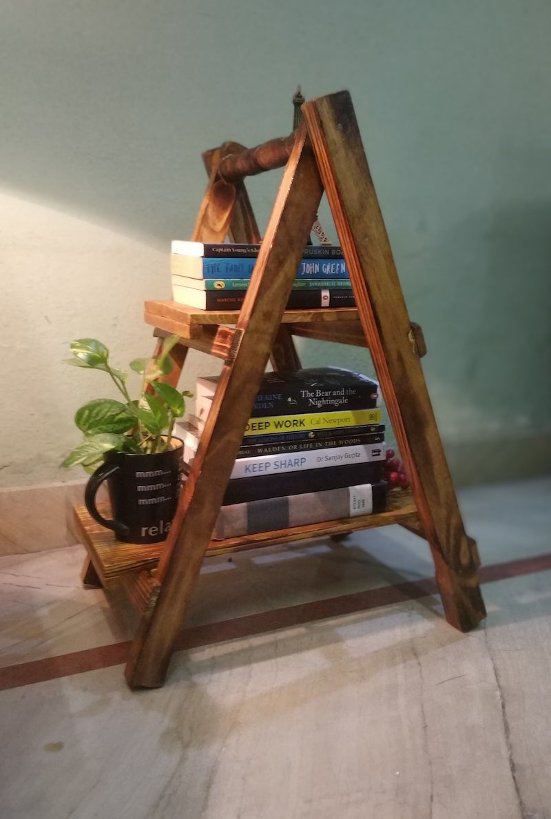 Two Tier Ladder Book Shelf | Planter Shelf