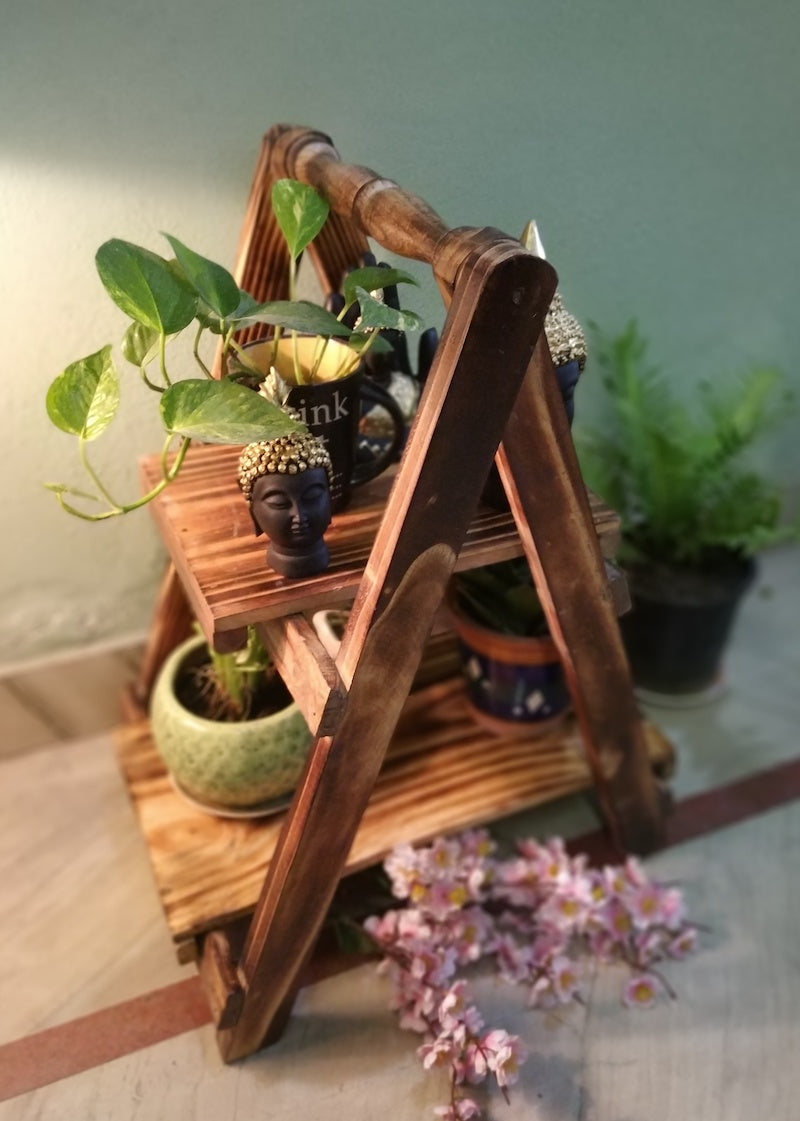 Two Tier Ladder Book Shelf | Planter Shelf