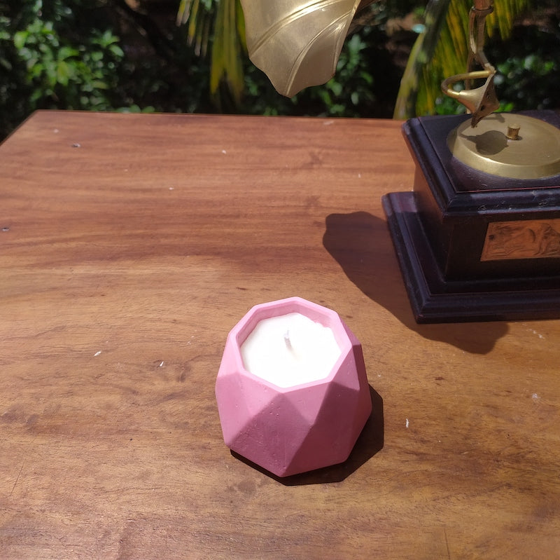 Pink Rose Fragrance Candle Jars (Set of 2)