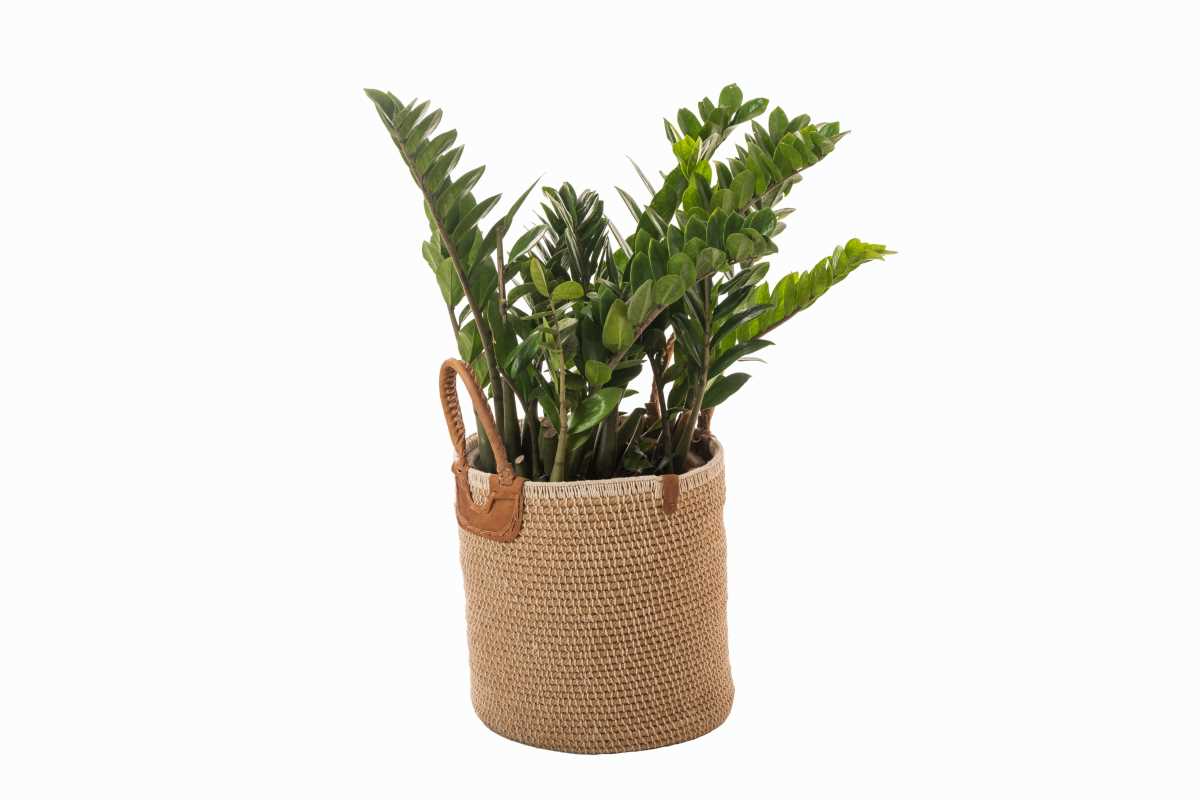 Natural Jute Multipurpose Basket