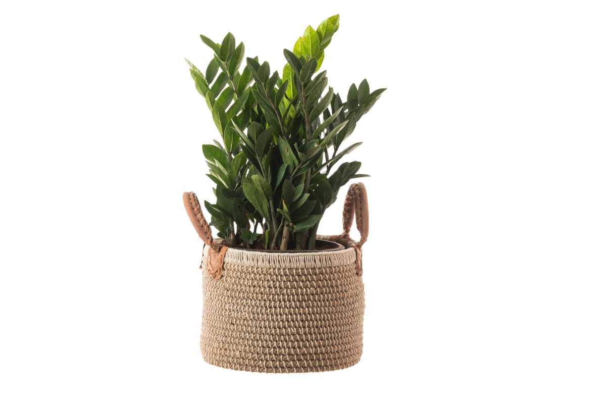 Jute Handcrafted Basket/Planter-Beige