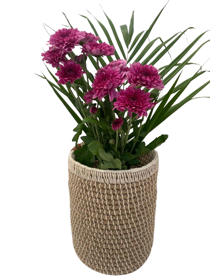 Natural Jute Planter