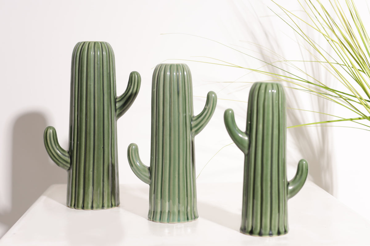 Modern Cactus Shape Pots | Planters (Set of 3)
