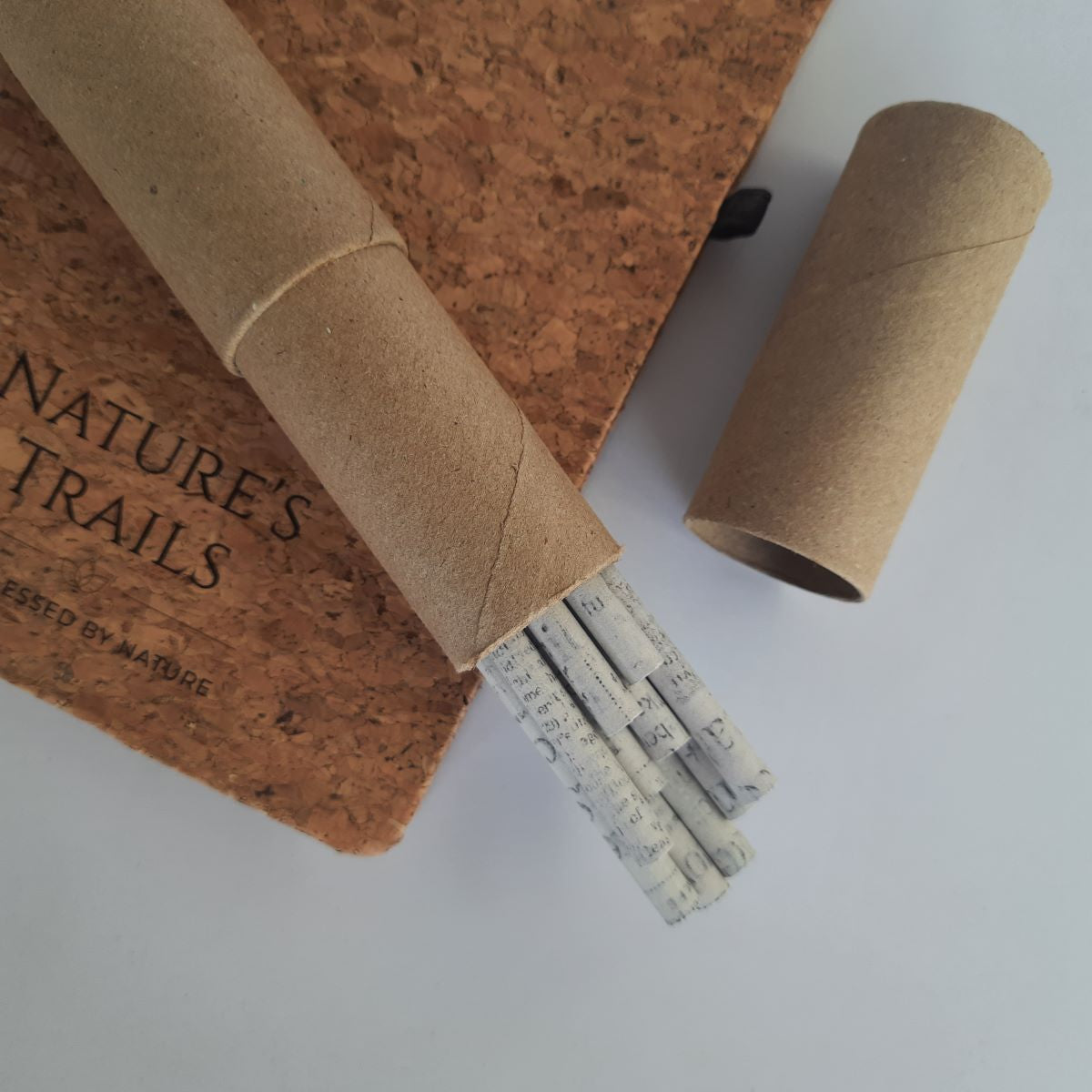 Recycled Newspaper Pencils (Pack of 5 /10)