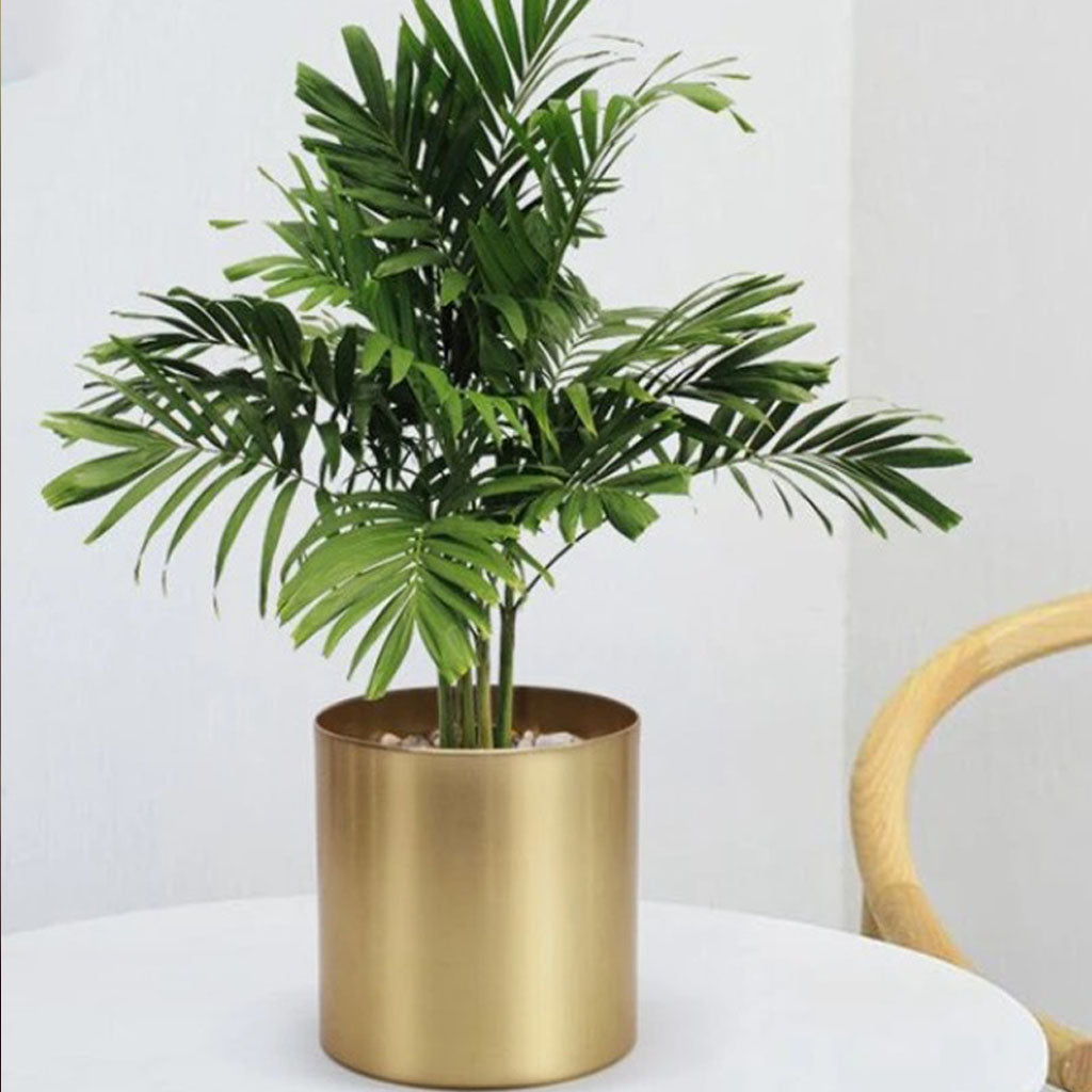 Iron Planter With Gold Finish