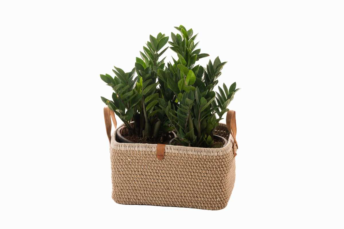 Jute Handcrafted Rectangular Basket